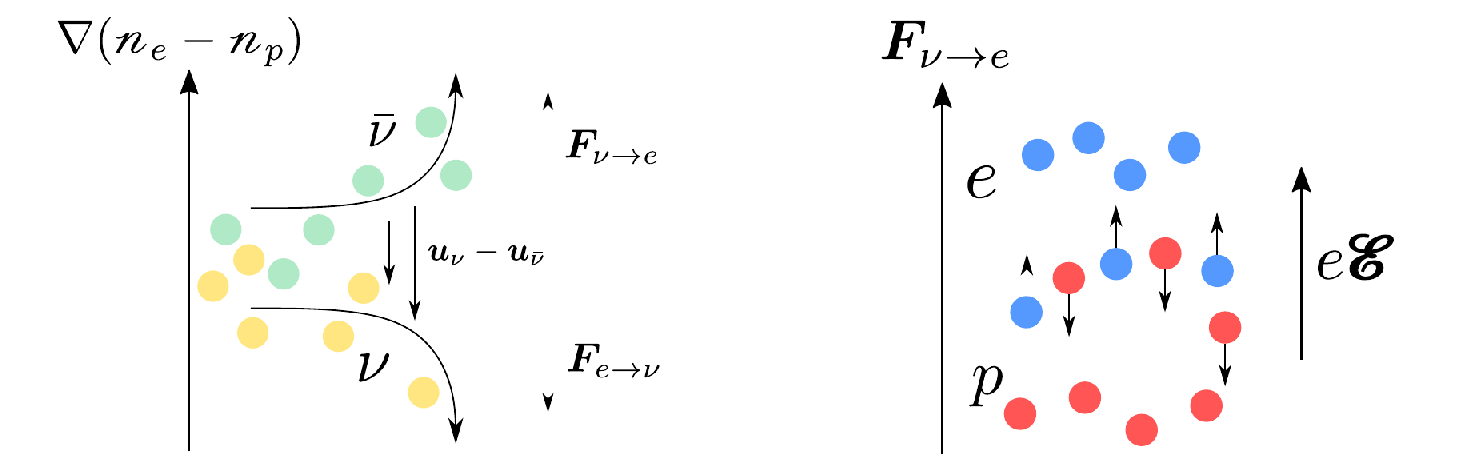 Effect of gradient in electron-positron populations on neutrinos (left), and effect of the neutrino ponderomotive force on the plasma (right).
