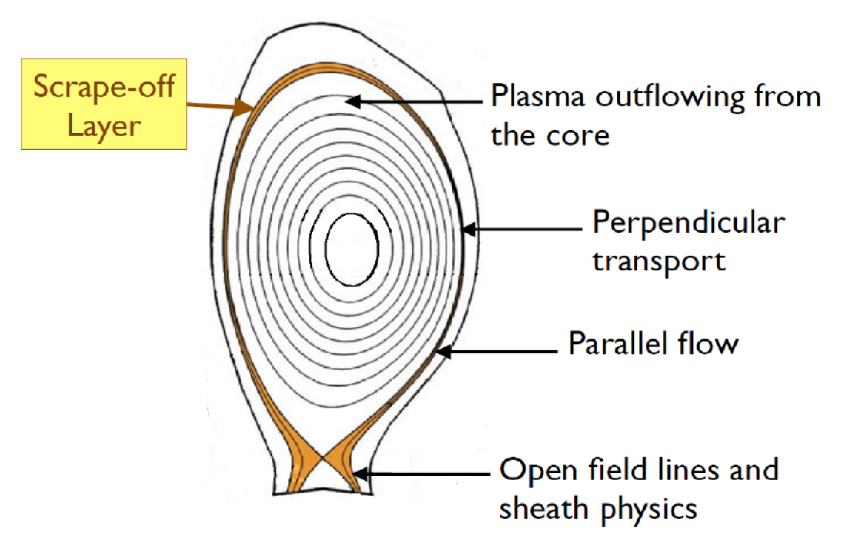 Schematics of the scrape-off-layer in a tokamak. Credit: Halpern 2014